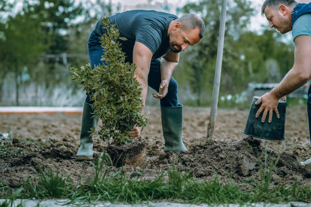 Best Seasonal Cleanup (Spring/Fall)  in Golden Gate, FL