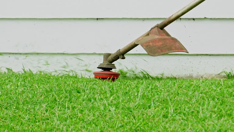 Best Organic Lawn Care Solutions  in Golden Gate, FL